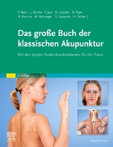Das große Buch der klassischen Akupunktur - Frank R. Bahr, Gerhard Litscher