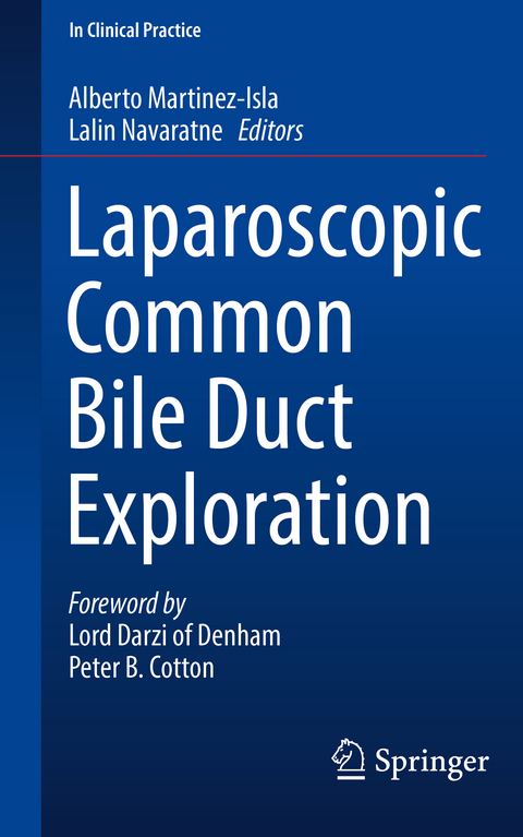 Laparoscopic Common Bile Duct Exploration - 