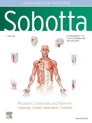 Sobotta Lerntabellen Anatomie Muskeln, Gelenke und Nerven - Friedrich Paulsen; Jens Waschke