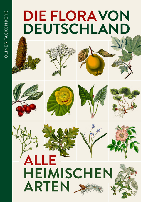 Die Flora von Deutschland - Dr. Oliver Tackenberg