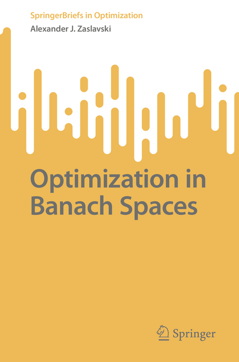Optimization in Banach Spaces - Alexander J. Zaslavski