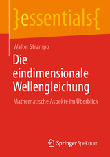 Die eindimensionale Wellengleichung - Walter Strampp