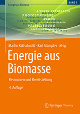 Energie aus Biomasse - Kaltschmitt, Martin; Stampfer, Karl