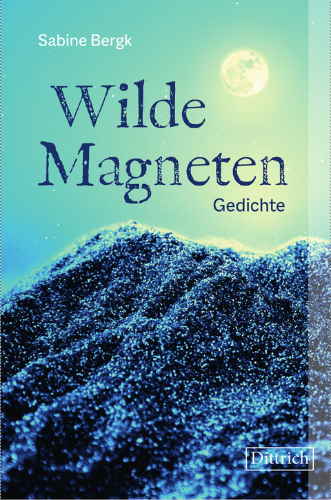 Wilde Magneten - Sabine Bergk