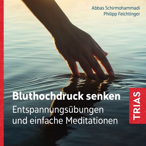 Bluthochdruck senken - Abbas Schirmohammadi, Philipp Feichtinger