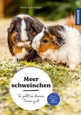 Meerschweinchen - Schillinger, Viola