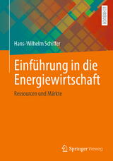 Einführung in die Energiewirtschaft - Hans-Wilhelm Schiffer