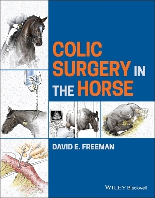 Colic Surgery in the Horse - David E. Freeman