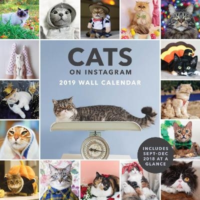 2019 Wall Calendar: Cats on Instagram -  @Cats_of_instagram