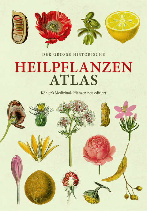 Der große historische Heilpflanzen-Atlas - Hermann Adolph Köhler