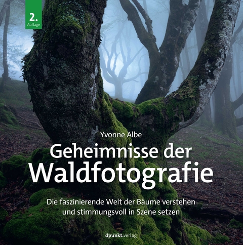 Geheimnisse der Waldfotografie - Yvonne Albe