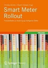 Smart Meter Rollout -  Christian Aichele,  Oliver D. Doleski,  Michael Arzberger,  Stephan Dieper,  Johann D