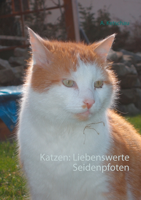 Katzen: Liebenswerte Seidenpfoten - A. Ketschau