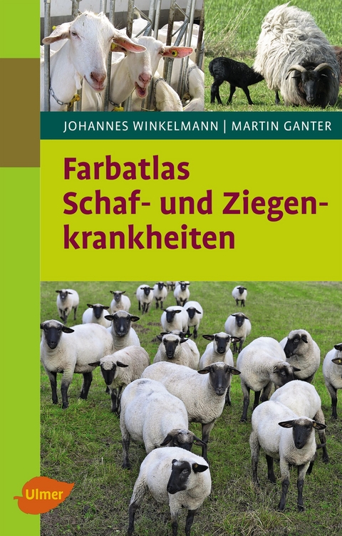 Schaf- und Ziegenkrankheiten - Johannes Winkelmann, Martin Ganter