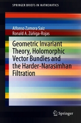 Geometric Invariant Theory, Holomorphic Vector Bundles and the Harder-Narasimhan Filtration -  Alfonso Zamora Saiz,  Ronald A. Zúñiga-Rojas