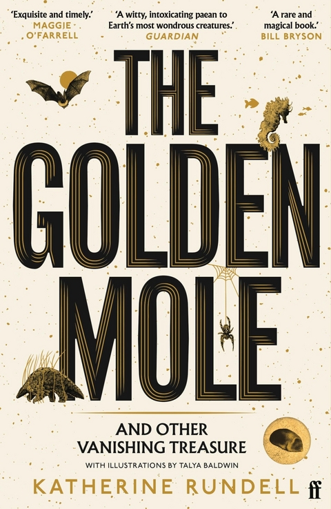 The Golden Mole -  Katherine Rundell