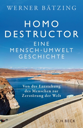 Homo destructor - Werner Bätzing
