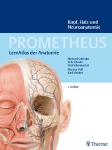 PROMETHEUS Kopf, Hals und Neuroanatomie - Schünke, Michael; Schulte, Erik; Schumacher, Udo