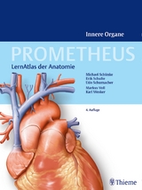 PROMETHEUS Innere Organe - Schünke, Michael; Schulte, Erik; Schumacher, Udo