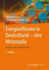 Energieeffizienz in Deutschland - eine Metastudie - 
