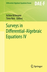 Surveys in Differential-Algebraic Equations IV - 