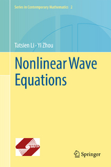 Nonlinear Wave Equations - Tatsien Li, Yi Zhou