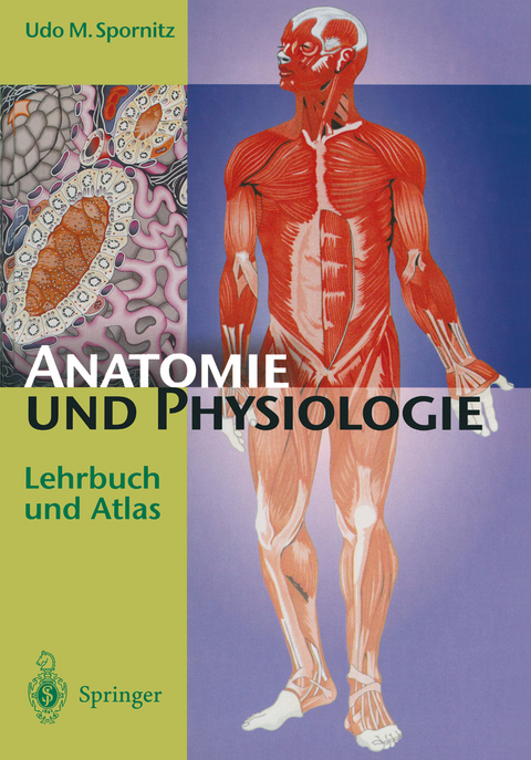 Anatomie und Physiologie - Udo M. Spornitz