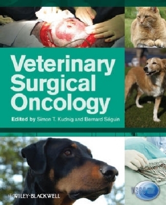 Veterinary Surgical Oncology - 