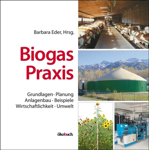 Biogas-Praxis - Barbara Eder, Andreas Krieg