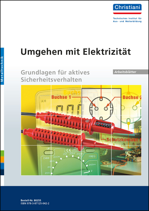 Umgehen mit Elektrizität - Grundlagen für aktives Sicherheitsverhalten - Manfred Hartmann