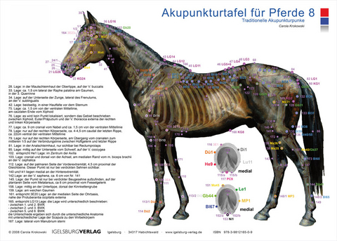 Akupunkturtafel für Pferde 8 - Carola Krokowski