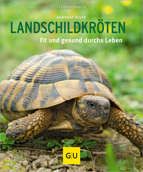 Landschildkröten - Hartmut Wilke