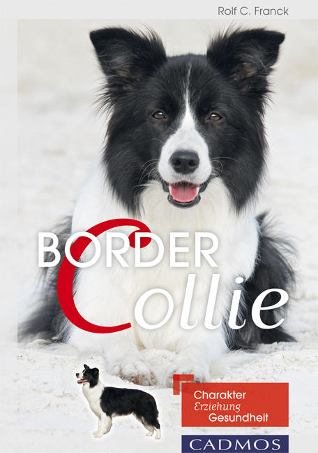 Border Collie - Rolf C. Franck