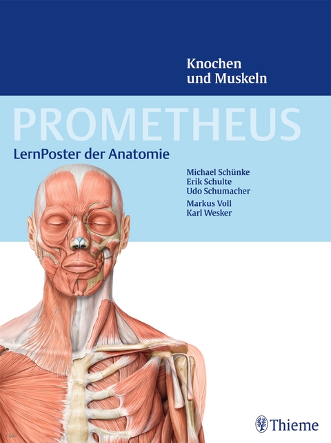 PROMETHEUS LernPoster der Anatomie - Michael Schünke, Erik Schulte, Udo Schumacher