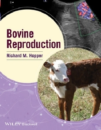 Bovine Reproduction - 