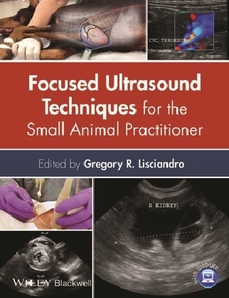 Focused Ultrasound Techniques for the Small Animal Practitioner - 