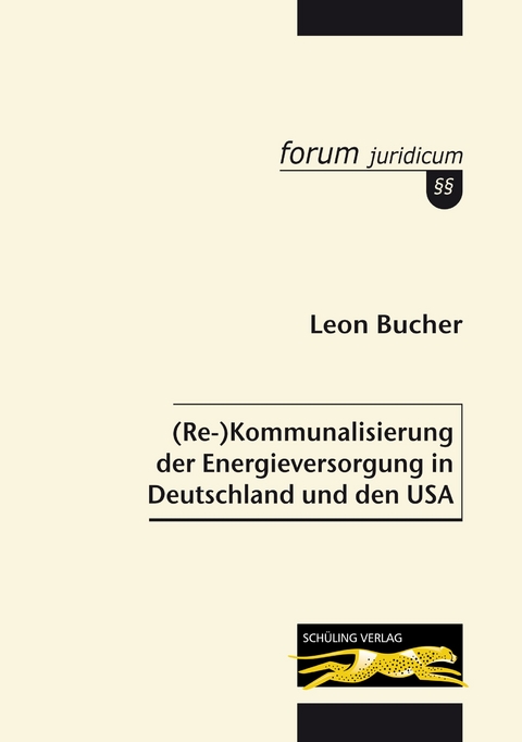 (Re-)Kommunalisierung der Energieversorgung in Deutschland und den USA - Leon Bucher