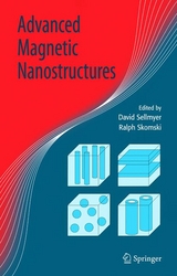Advanced Magnetic Nanostructures - 