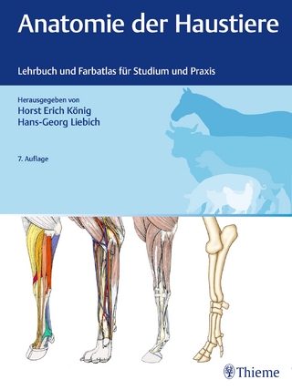 Anatomie der Haustiere - Horst Erich König; Hans-Georg Liebich