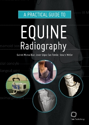A Practical Guide to Equine Radiography - Gabriel Manso Diaz, Javier Lopez San Roman, Renate Weller