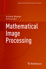 Mathematical Image Processing - Kristian Bredies, Dirk Lorenz