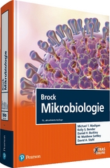 Brock Mikrobiologie - Michael T. Madigan, Kelly S. Bender, Daniel H. Buckley, W. Matthew Sattley, David A. Stahl