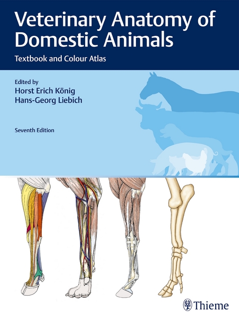 Veterinary Anatomy of Domestic Animals - 