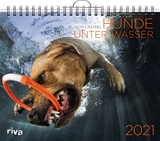 Hunde unter Wasser 2021 - Seth Casteel