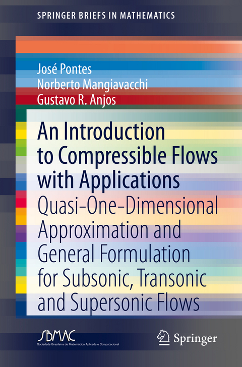 An Introduction to Compressible Flows with Applications - José Pontes, Norberto Mangiavacchi, Gustavo R. Anjos