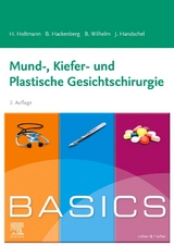 BASICS Mund-, Kiefer- und Plastische Gesichtschirurgie - Henrik Holtmann, Berit Hackenberg, Sven Bastian Wilhelm, Jörg Handschel