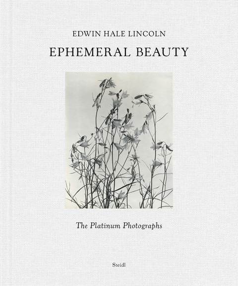 Ephemeral Beauty - Edwin Hale Lincoln