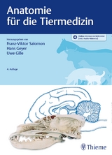 Anatomie für die Tiermedizin - Salomon, Franz-Viktor; Geyer, Hans; Gille, Uwe