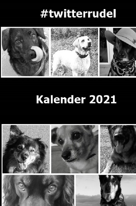 Kalender 2021 Taschenbuch Hardcover - #twitterrudel Die coolen Dogs im Internet
