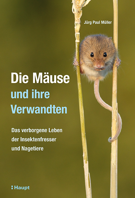 Die Mäuse und ihre Verwandten - Jürg Paul Müller
